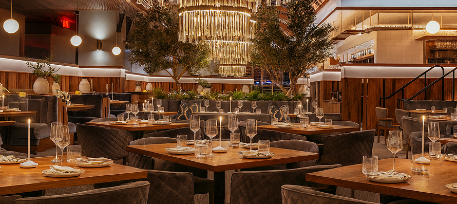 Restaurant & Cafes - Sparrow Italia